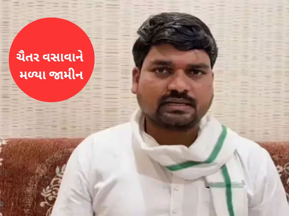 ચૈતર વસાવાને મળ્યા જામીન, પરંતુ હાઈકોર્ટની એક શરતનું કરવું પડશે પાલન ચૈતર વસાવાને મળ્યા જામીન, પરંતુ હાઈકોર્ટની એક શરતનું કરવું પડશે પાલન