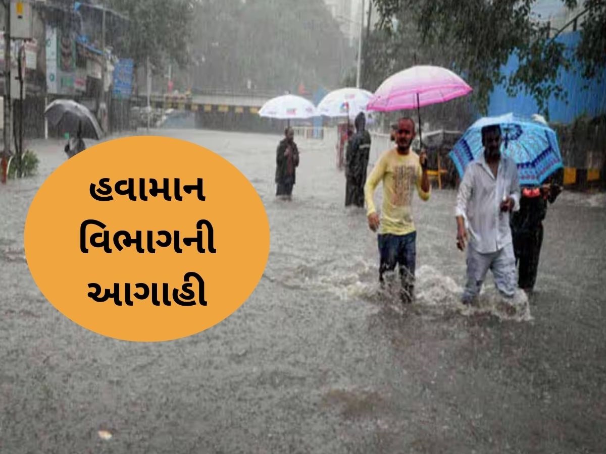 નવરાત્રીમાં આવશે વરસાદી વિઘ્ન, બગડી જશે ખેલૈયાઓની મજા, જાણો શું છે આગાહી નવરાત્રીમાં આવશે વરસાદી વિઘ્ન, બગડી જશે ખેલૈયાઓની મજા, જાણો શું છે આગાહી