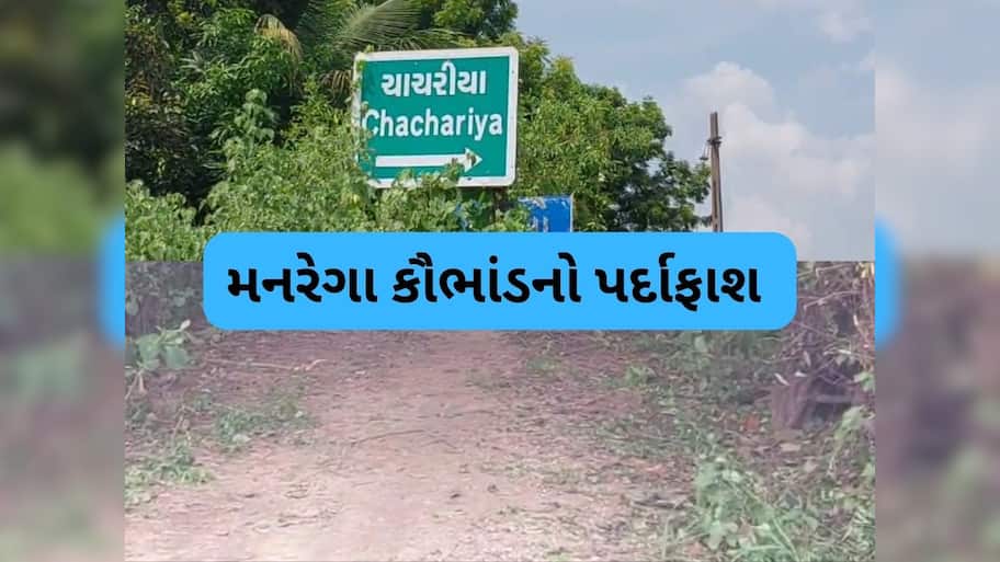 મહેસાણા જિલ્લામાં બોગસ જોબકાર્ડ બનાવી મનરેગા યોજનામાં કૌભાંડ, શ્રમિકોના રૂપિયા બારોબાર ઉપાડી લીધા
