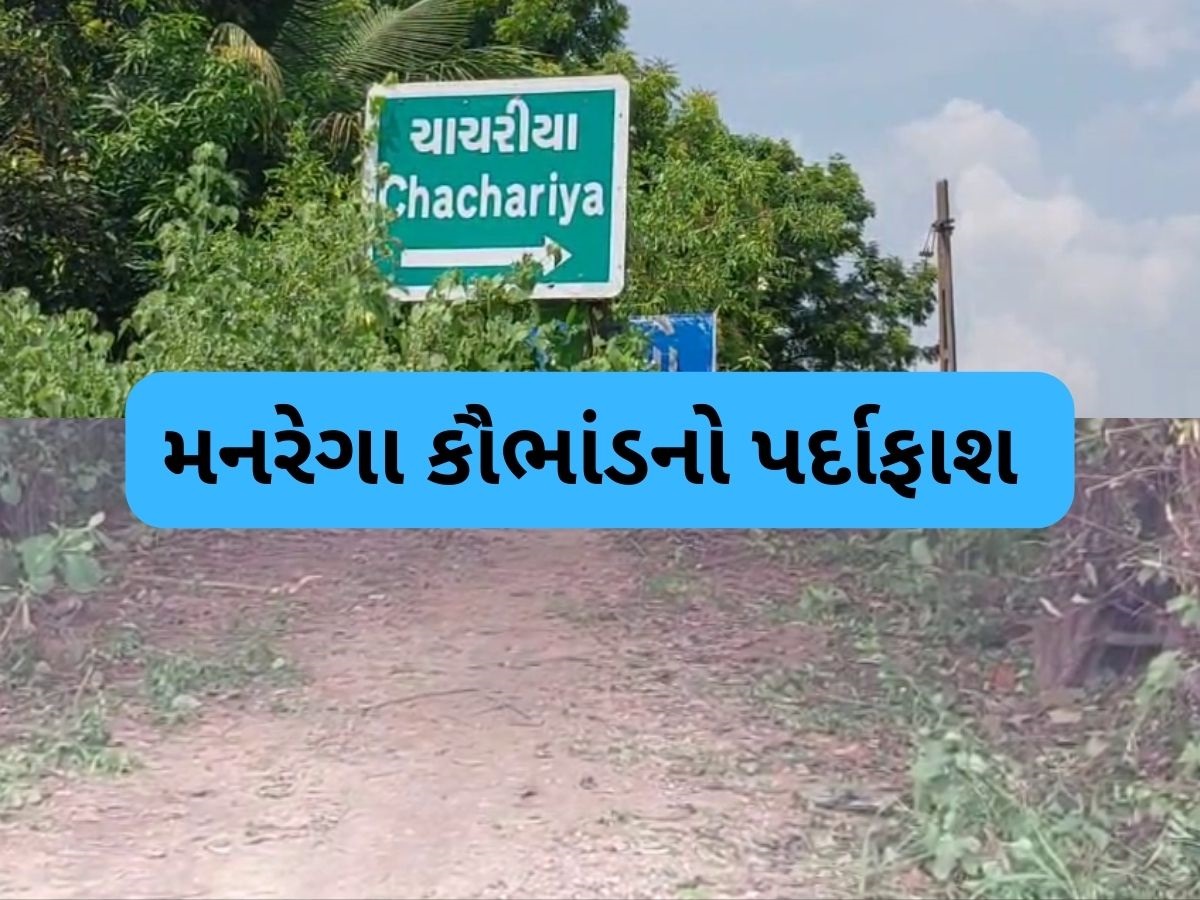 મહેસાણા જિલ્લામાં બોગસ જોબકાર્ડ બનાવી મનરેગા યોજનામાં કૌભાંડ, શ્રમિકોના રૂપિયા બારોબાર ઉપાડી લીધા મહેસાણા જિલ્લામાં બોગસ જોબકાર્ડ બનાવી મનરેગા યોજનામાં કૌભાંડ, શ્રમિકોના રૂપિયા બારોબાર ઉપાડી લીધા