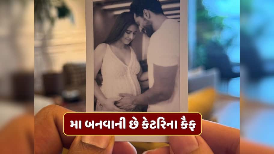 ગૂડ ન્યુઝ ! મા બનવાની છે કેટરિના કૈફ...વિકી કૌશલે શેર કર્યો ફોટો 