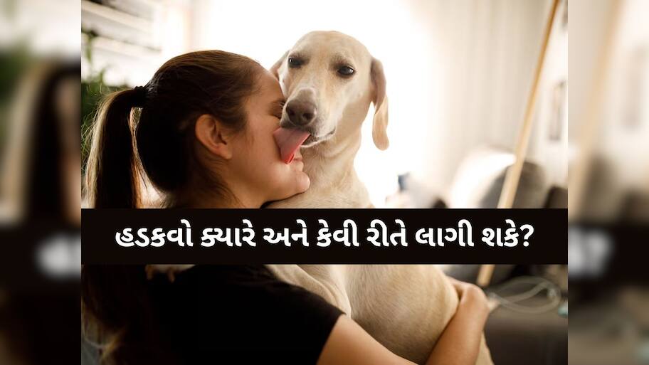 કૂતરાનો નખ વાગવાથી શું હડકવા થાય કે કેમ? જાણી લેજો ડૉક્ટરનું મહત્વપૂર્ણ નિવેદન