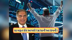 પહેલીવાર સ્ટોક સ્પિલ્ટ કરી રહી છે ટાટાની આ દિગ્ગજ કંપની, 1 શેર પર મળશે 10 મફત શેર