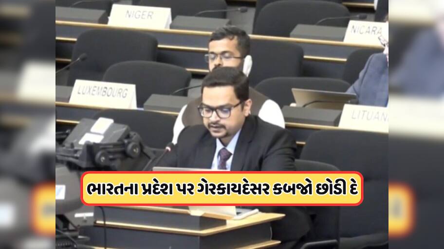 પોતાના જ લોકો પર બોમ્બમારો કરવાથી સમય મળે તો..., ભારતે ભરી સભામાં પાકિસ્તાનને દેખાડ્યો અરીસો
