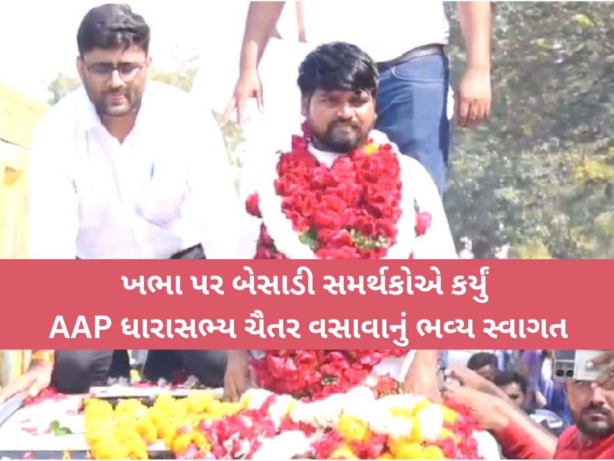 ગુજરાત હાઈકોર્ટમાંથી જામીન મળતા જેલ બહાર આવ્યા ચૈતર વસાવા, ભાજપ પર કર્યા આકરા પ્રહારો ગુજરાત હાઈકોર્ટમાંથી જામીન મળતા જેલ બહાર આવ્યા ચૈતર વસાવા, ભાજપ પર કર્યા આકરા પ્રહારો
