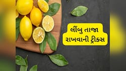 Storage Tips: આ રીતે રાખશો તો 1 મહિના સુધી લીંબુ રહેશે તાજા, અપનાવો આ 5 ટીપ્સ