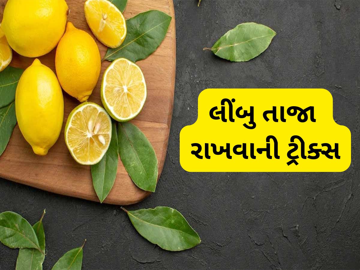 Storage Tips: આ રીતે રાખશો તો 1 મહિના સુધી લીંબુ રહેશે તાજા, અપનાવો આ 5 ટીપ્સ Storage Tips: આ રીતે રાખશો તો 1 મહિના સુધી લીંબુ રહેશે તાજા, અપનાવો આ 5 ટીપ્સ