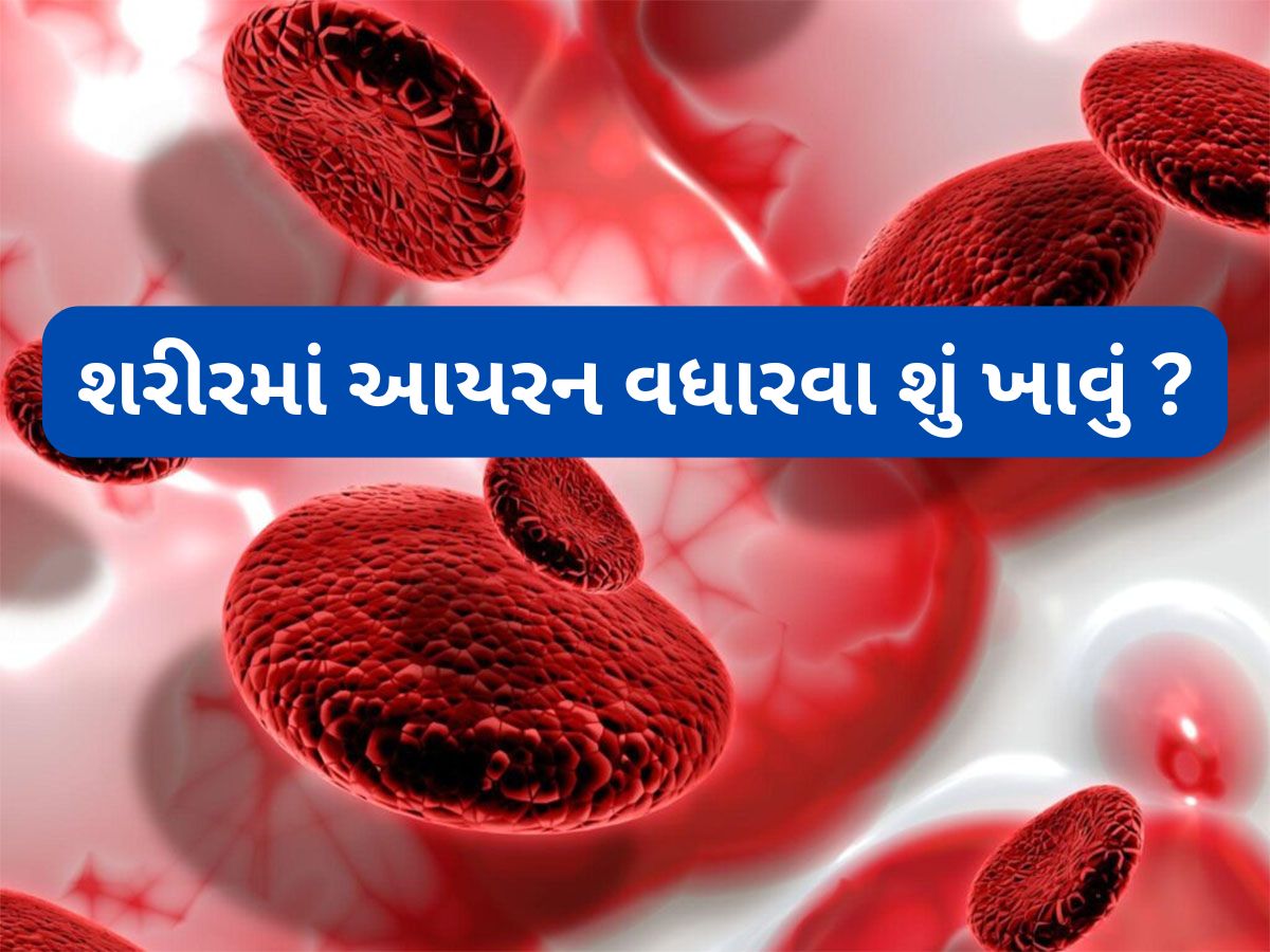 Health Tips: લોહી વધારવાનું મશીન છે આ ફળ, ઝડપથી શરીરમાં વધી શકે છે હિમોગ્લોબીન Health Tips: લોહી વધારવાનું મશીન છે આ ફળ, ઝડપથી શરીરમાં વધી શકે છે હિમોગ્લોબીન