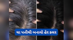 ચા પત્તીથી બનાવો નેચરલ હેર કલર, માત્રા 10 મિનિટમાં મૂળમાંથી કાળા થઈ જશે સફેદ વાળ