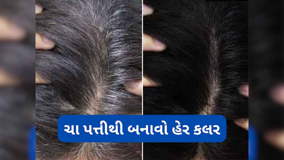 Natural Hair Color: ચા પત્તીથી બનાવો નેચરલ હેર કલર, માત્રા 10 મિનિટમાં મૂળમાંથી કાળા થઈ જશે સફેદ વાળ