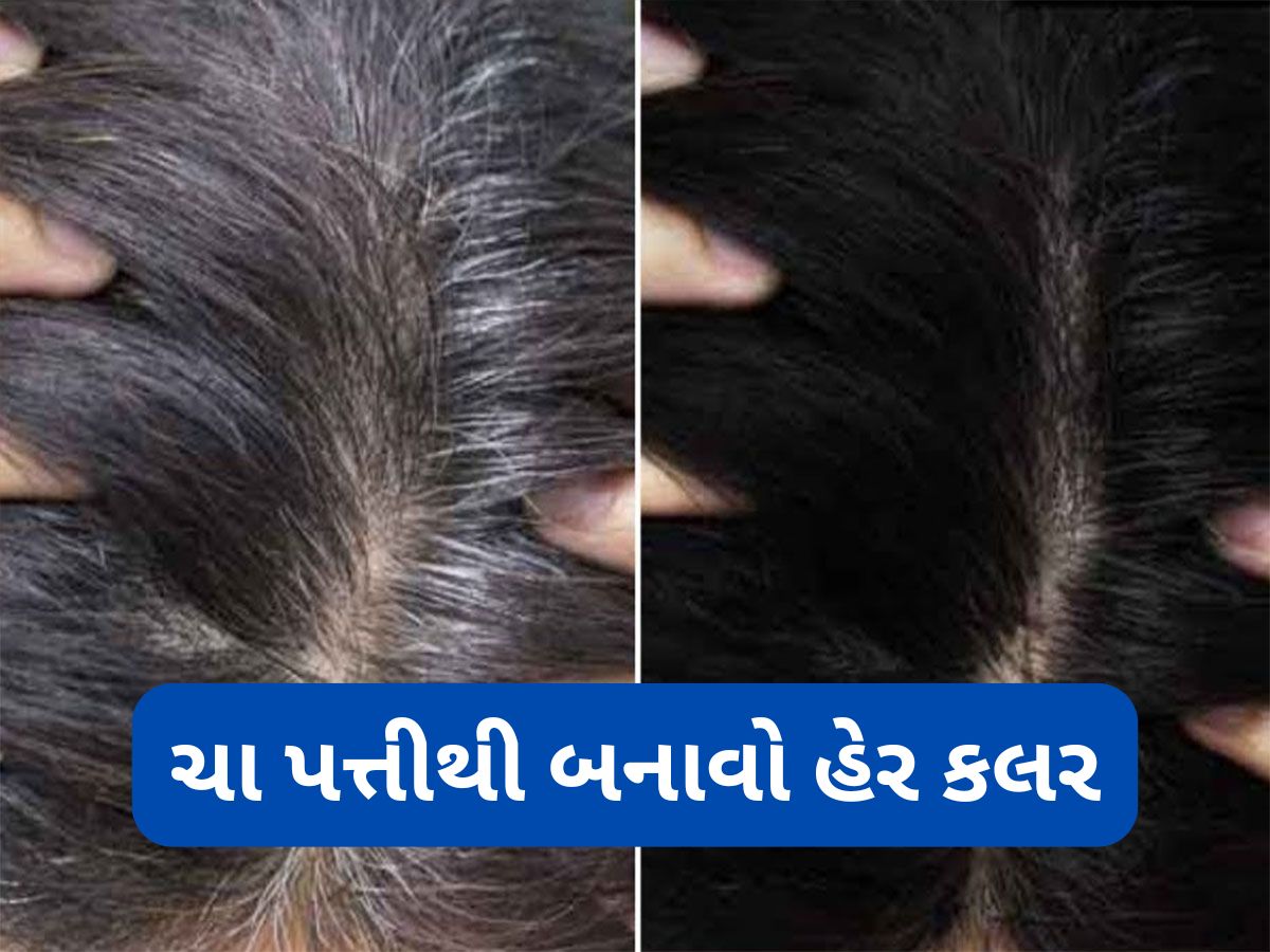 Natural Hair Color: ચા પત્તીથી બનાવો નેચરલ હેર કલર, માત્રા 10 મિનિટમાં મૂળમાંથી કાળા થઈ જશે સફેદ વાળ Natural Hair Color: ચા પત્તીથી બનાવો નેચરલ હેર કલર, માત્રા 10 મિનિટમાં મૂળમાંથી કાળા થઈ જશે સફેદ વાળ
