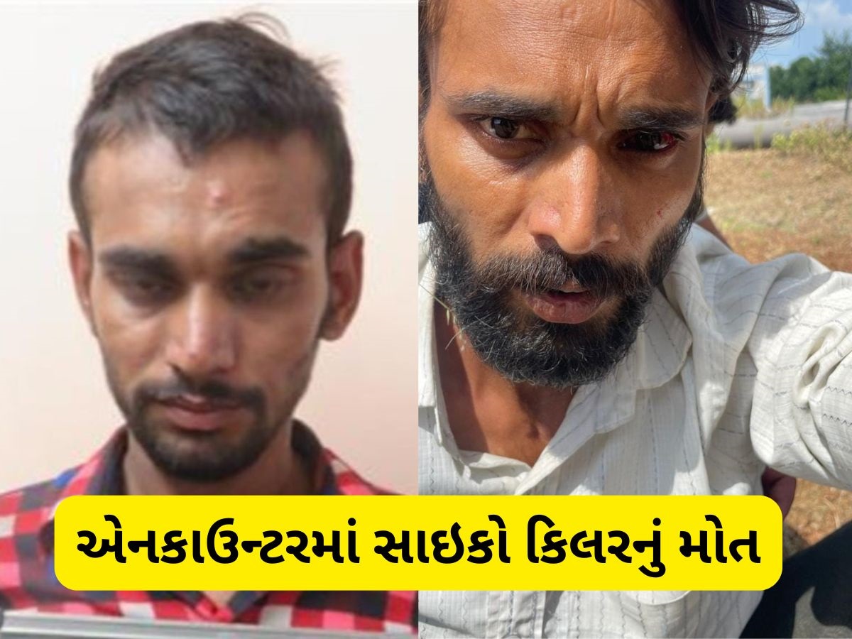 વિપુલની હરકતોથી કંટાળી ગયો હતો પરિવાર, માતાએ કહ્યું હતું- 'જે કરવું હોય તે કરો' એનકાઉન્ટરમાં મોત વિપુલની હરકતોથી કંટાળી ગયો હતો પરિવાર, માતાએ કહ્યું હતું- 'જે કરવું હોય તે કરો' એનકાઉન્ટરમાં મોત