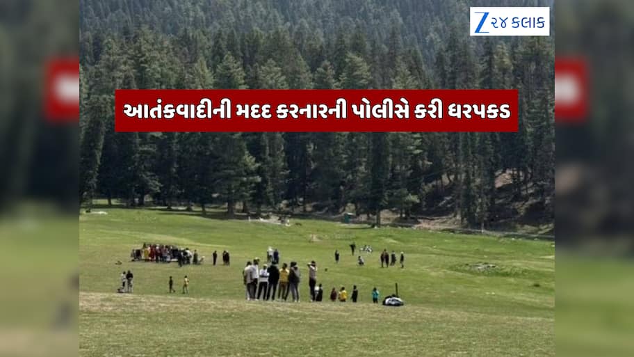 પહેલગામ હુમલામાં પોલીસને મળી મોટી સફળતા, આતંકવાદીની મદદ કરનારની ધકપકડ 