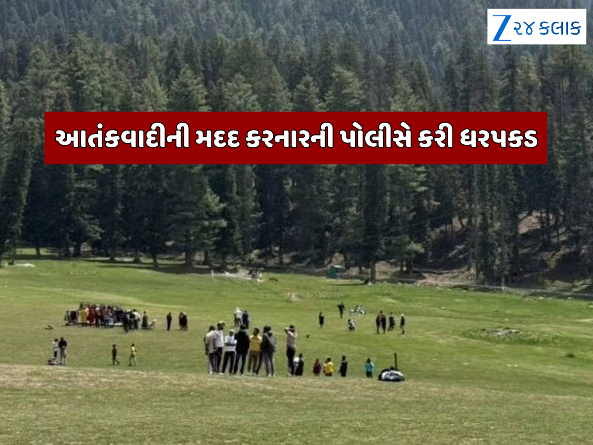 પહેલગામ હુમલામાં પોલીસને મળી મોટી સફળતા, આતંકવાદીની મદદ કરનારની ધકપકડ પહેલગામ હુમલામાં પોલીસને મળી મોટી સફળતા, આતંકવાદીની મદદ કરનારની ધકપકડ