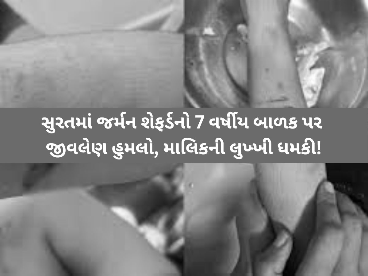 'તમે કઈ બગાડી નહિ લો બધાને કોર્ટમાં લઇ જઈશ, જ્યાં ફરિયાદ કરવી હોઈ ત્યાં કરી દો' 'તમે કઈ બગાડી નહિ લો બધાને કોર્ટમાં લઇ જઈશ, જ્યાં ફરિયાદ કરવી હોઈ ત્યાં કરી દો'