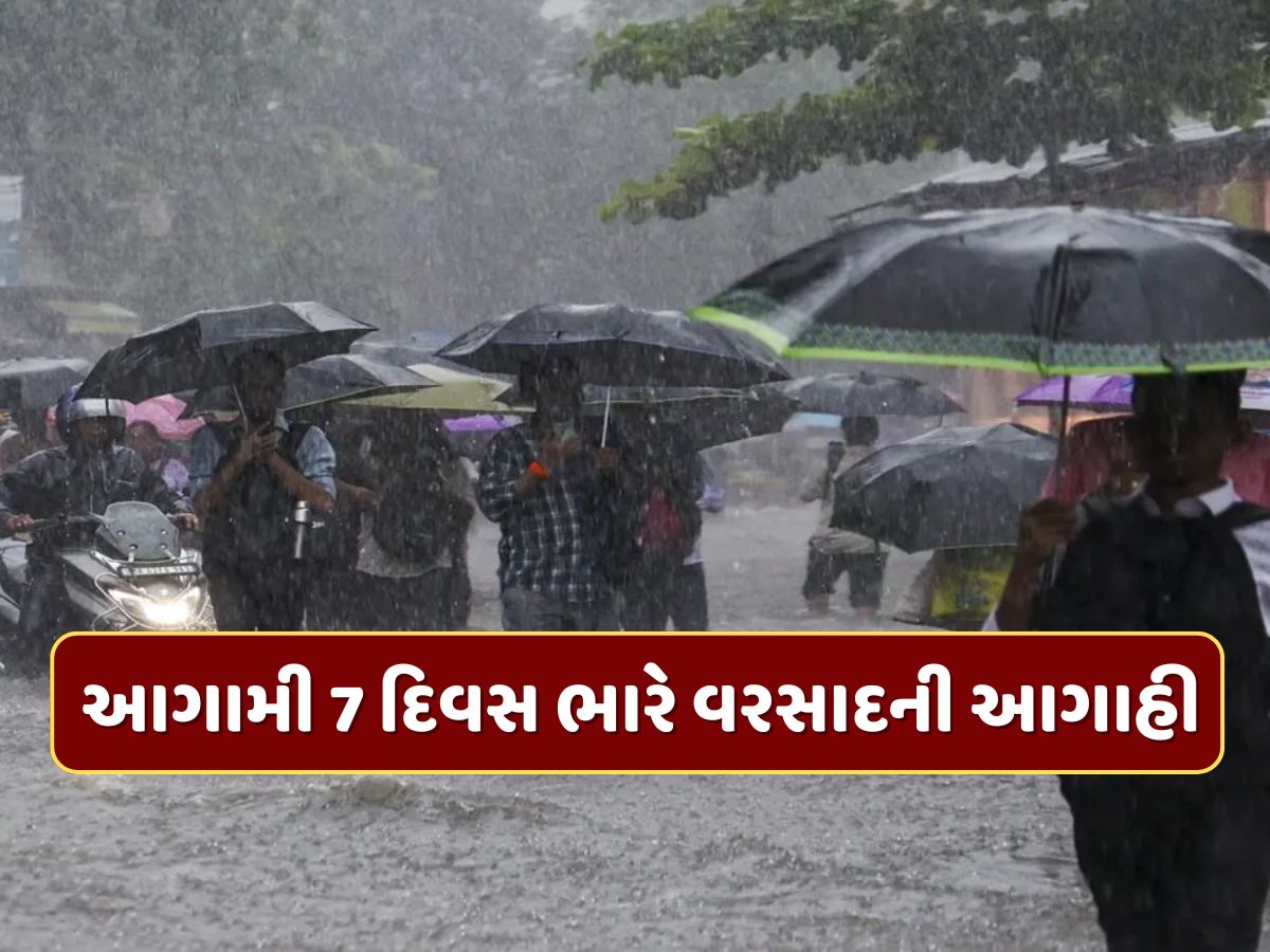 Heavy Rain Alert : આગામી 7 દિવસ ભારે વરસાદની આગાહી, IMDએ જાહેર કર્યું એલર્ટ Heavy Rain Alert : આગામી 7 દિવસ ભારે વરસાદની આગાહી, IMDએ જાહેર કર્યું એલર્ટ