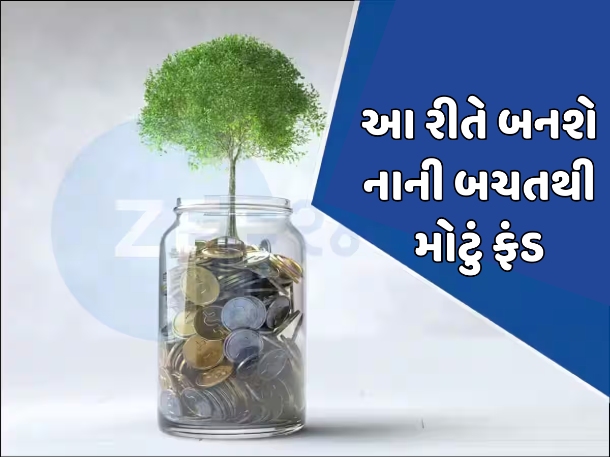 SIPમાં કેવી રીતે કરવું રોકાણનું પ્લાનિંગ? આ ફંડ અપાવી શકે છે શાનદાર રિટર્ન! જાણો શું રાખવું જોઈએ ધ્યાન SIPમાં કેવી રીતે કરવું રોકાણનું પ્લાનિંગ? આ ફંડ અપાવી શકે છે શાનદાર રિટર્ન! જાણો શું રાખવું જોઈએ ધ્યાન