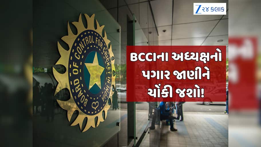 કેટલો હોય છે BCCIના અધ્યક્ષનો પગાર? સુવિધાઓથી લઈને મળે છે આ મોટો પાવર; 28 સપ્ટેમ્બરના રોજ થશે ચૂંટણી