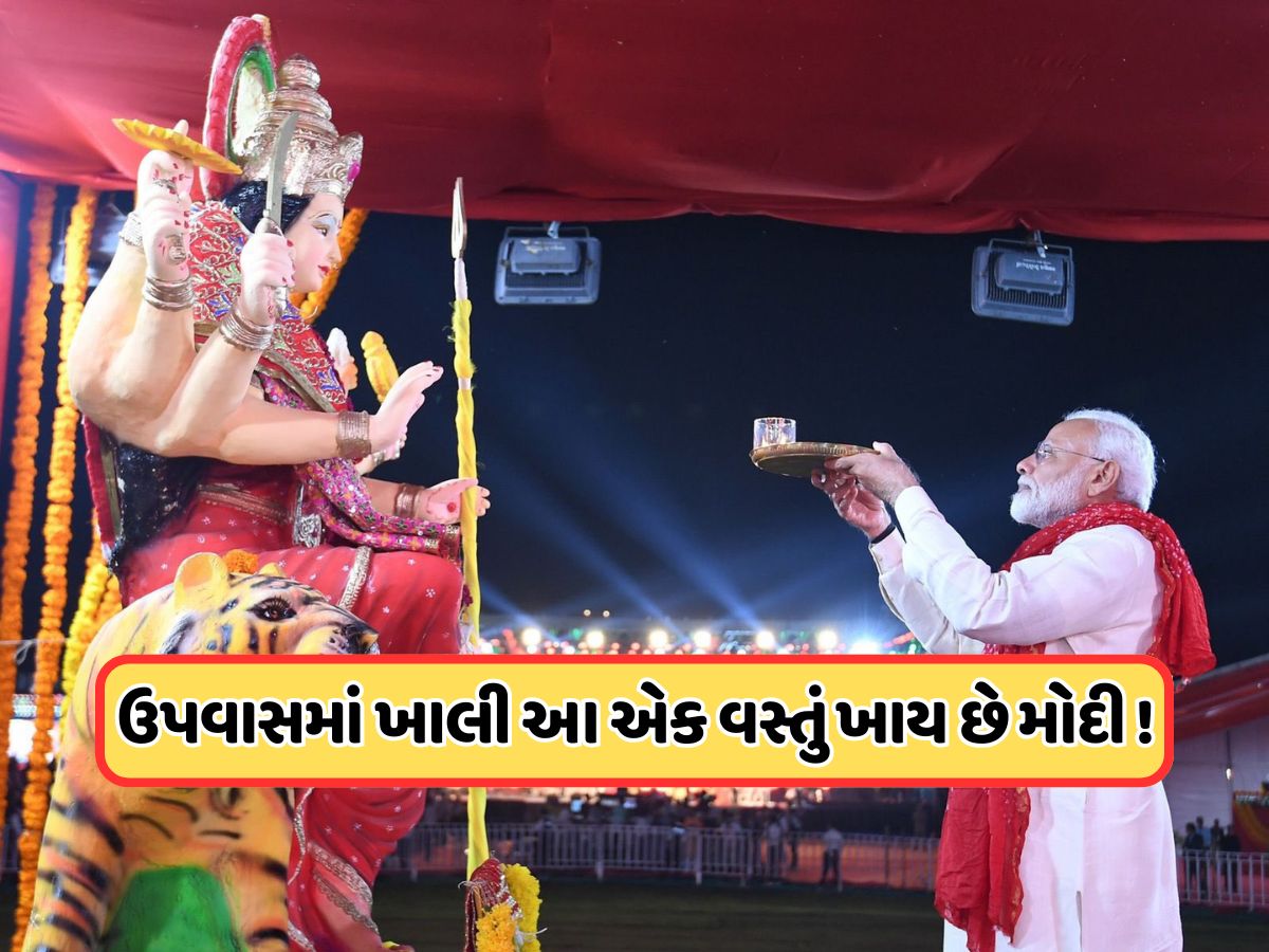 PM મોદી કેવી રીતે કરે છે નવરાત્રીના ઉપવાસ ? સરળતામાં છુપાયેલો સ્વાસ્થ્ય મંત્ર PM મોદી કેવી રીતે કરે છે નવરાત્રીના ઉપવાસ ? સરળતામાં છુપાયેલો સ્વાસ્થ્ય મંત્ર