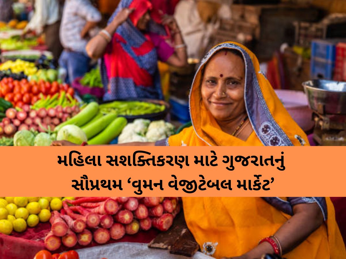 ગુજરાતમાં સૌપ્રથમ ‘વુમન વેજીટેબલ માર્કેટ’ની જાહેરાત, મહિલા સશક્તિકરણ માટે મોટું કદમ ગુજરાતમાં સૌપ્રથમ ‘વુમન વેજીટેબલ માર્કેટ’ની જાહેરાત, મહિલા સશક્તિકરણ માટે મોટું કદમ