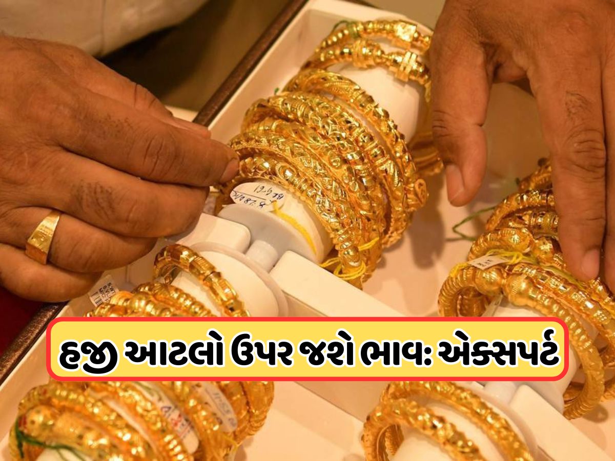 એક્સપર્ટ પાસેથી જાણો... સોનાનો ભાવ હવે કેટલો ઊંચો જશે? આટલા ભાવે પહોચ્યો છે 10 ગ્રામનો રેટ એક્સપર્ટ પાસેથી જાણો... સોનાનો ભાવ હવે કેટલો ઊંચો જશે? આટલા ભાવે પહોચ્યો છે 10 ગ્રામનો રેટ