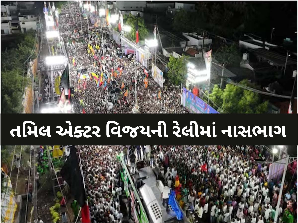 તમિલનાડુના કરૂરમાં અભિનેતા વિજયની રેલીમાં મોટી દુર્ઘટના: નાસભાગમાં 31 લોકોનાં મોત, અનેક ઘાયલ તમિલનાડુના કરૂરમાં અભિનેતા વિજયની રેલીમાં મોટી દુર્ઘટના: નાસભાગમાં 31 લોકોનાં મોત, અનેક ઘાયલ