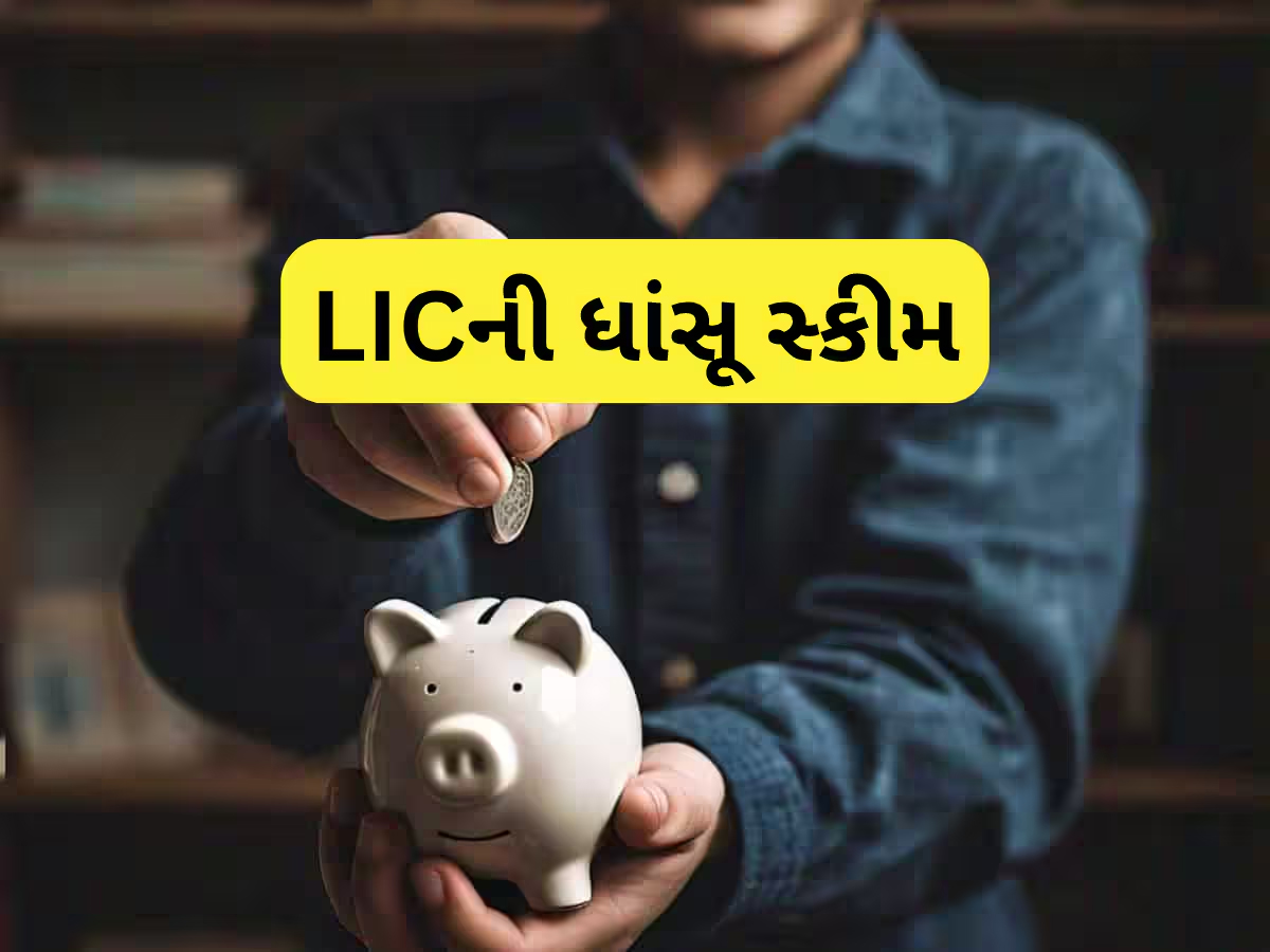 FD-RD નહીં, LICની આ સ્કીમ છે સૌથી શાનદાર; દરરોજ માત્ર 150 રૂપિયા બચાવીને બનાવો લાખોનું ફંડ FD-RD નહીં, LICની આ સ્કીમ છે સૌથી શાનદાર; દરરોજ માત્ર 150 રૂપિયા બચાવીને બનાવો લાખોનું ફંડ