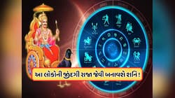 સીધું ભ્રમણ કરશે શનિ, નોકરી કરનારા આ 4 રાશિના લોકોનો શરૂ થશે ગોલ્ડન ટાઈમ !