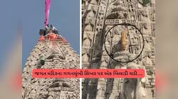 દ્વારકા મંદિર પર અદ્ભુત ઘટના! ગગનચુંબી શિખર પર બિલાડી ચઢી ગઈ, કોઈ મોટા સંકેતનો ઈશારો