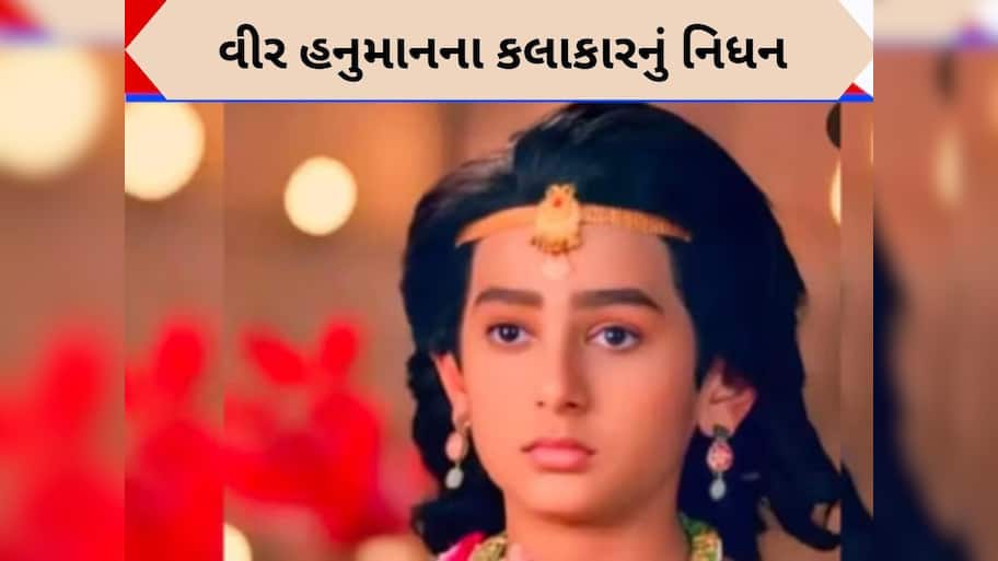 'વીર હનુમાન'માં જોવા મળેલા આ બાળકનું આગમાં બળીને મોત, ભાઈએ પણ ગુમાવ્યો જીવ, જાણો કેવી રીતે થઈ દુર્ઘટના