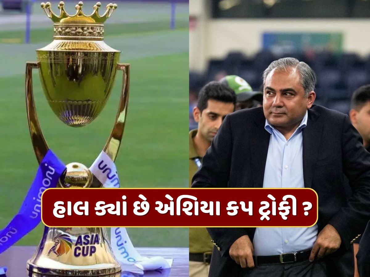 Asia Cup 2025 : હાલ ક્યાં છે એશિયા કપ ટ્રોફી ? શું વિજેતા ટીમને બદલે કોઈ બીજું રાખી શકે ? જાણો શું છે નિયમ Asia Cup 2025 : હાલ ક્યાં છે એશિયા કપ ટ્રોફી ? શું વિજેતા ટીમને બદલે કોઈ બીજું રાખી શકે ? જાણો શું છે નિયમ