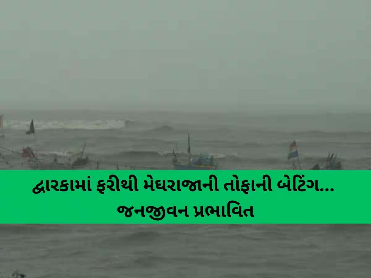 આવી રહ્યો છે મહાખતરો! સંભવિત ખતરાને ધ્યાનમાં રાખીને ગુજરાત-મહારાષ્ટ્રમાં એલર્ટ જાહેર, દ્વારકામાં જળબંબાકાર આવી રહ્યો છે મહાખતરો! સંભવિત ખતરાને ધ્યાનમાં રાખીને ગુજરાત-મહારાષ્ટ્રમાં એલર્ટ જાહેર, દ્વારકામાં જળબંબાકાર