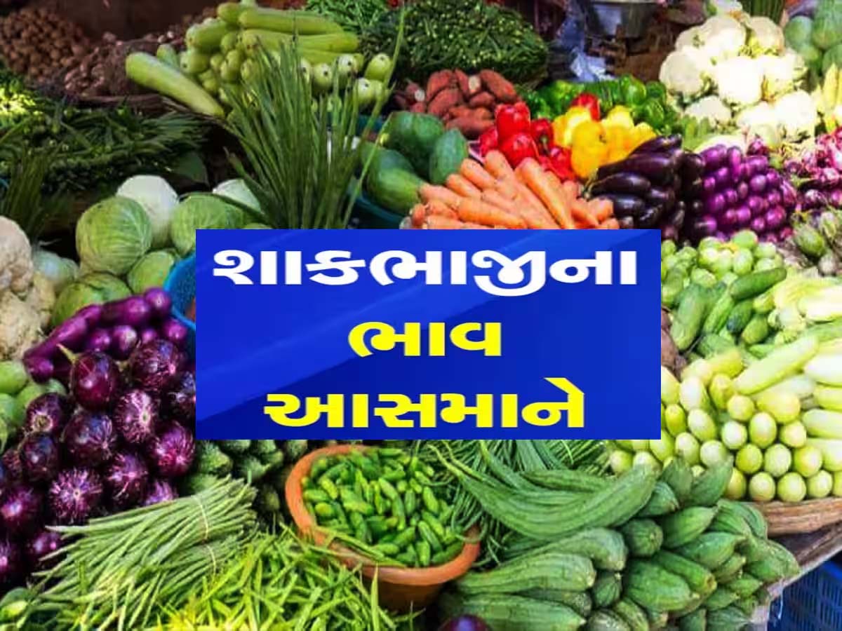 અમદાવાદમાં શાકભાજીના ભાવ આસમાને: મોંઘવારીનો માર ગરબાની મોસમમાં રસોડા સુધી પહોંચ્યો! અમદાવાદમાં શાકભાજીના ભાવ આસમાને: મોંઘવારીનો માર ગરબાની મોસમમાં રસોડા સુધી પહોંચ્યો!