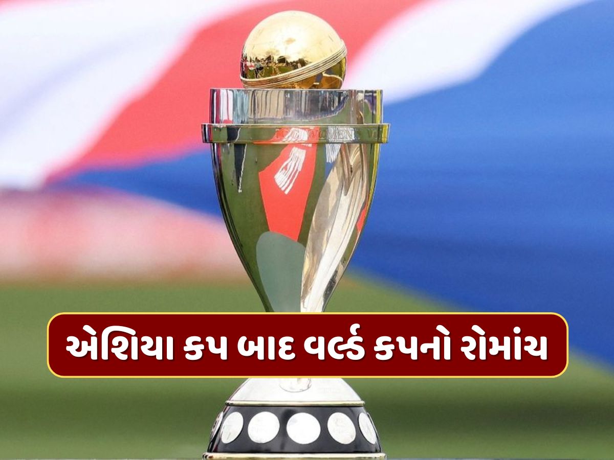 એશિયા કપ બાદ વર્લ્ડ કપનો રોમાંચ આજથી શરૂ...જાણો શેડ્યુલ અને લાઇવ સ્ટ્રીમિંગની વિગતો એશિયા કપ બાદ વર્લ્ડ કપનો રોમાંચ આજથી શરૂ...જાણો શેડ્યુલ અને લાઇવ સ્ટ્રીમિંગની વિગતો
