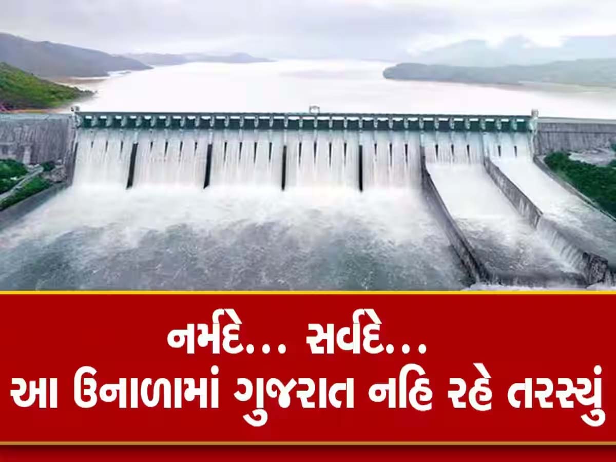 ગુજરાતની જીવાદોરી નર્મદા ડેમ છલોછલ: સિઝનમાં પહેલીવાર ડેમની જળસપાટી ઐતિહાસિક સ્તરે, લેવાયો મોટો નિર્ણય ગુજરાતની જીવાદોરી નર્મદા ડેમ છલોછલ: સિઝનમાં પહેલીવાર ડેમની જળસપાટી ઐતિહાસિક સ્તરે, લેવાયો મોટો નિર્ણય