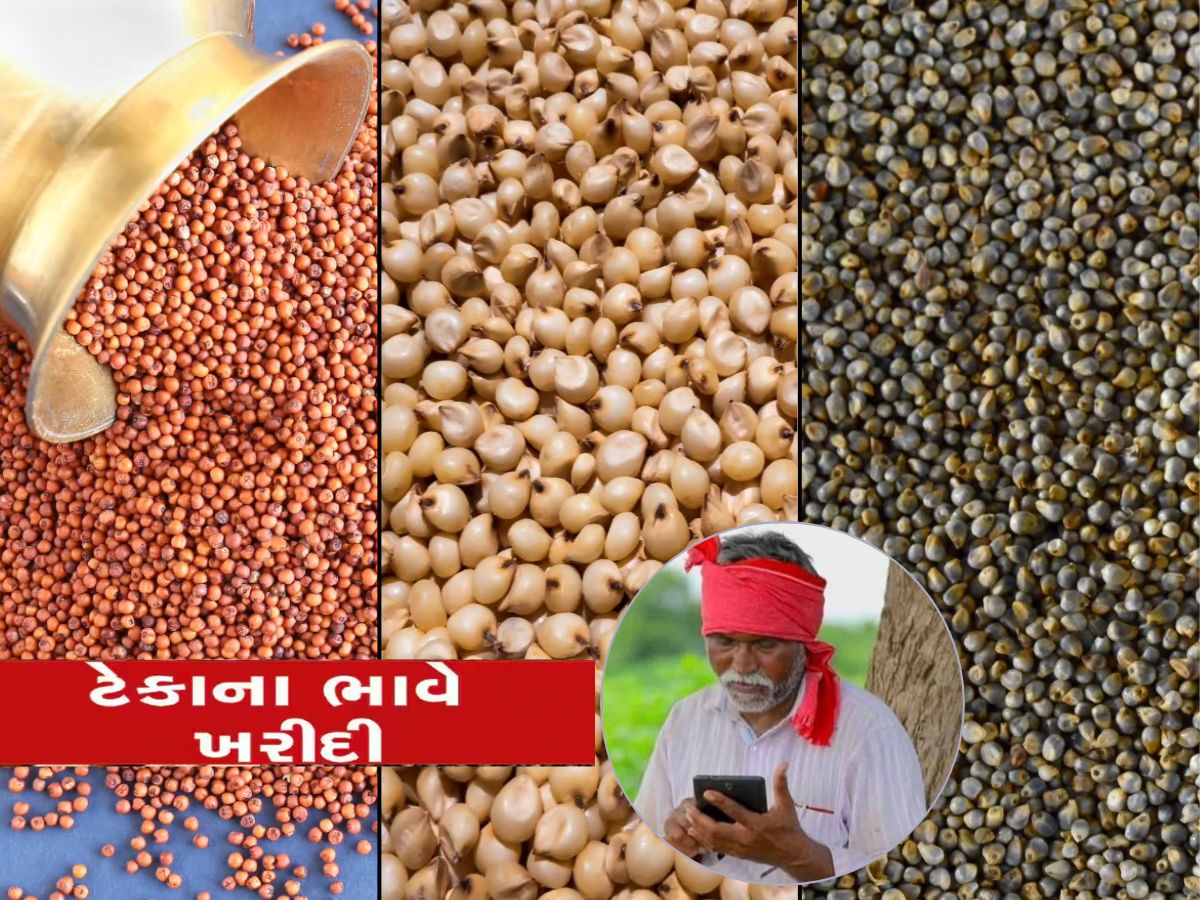 સરકાર એકસાથે 5 ધાન્યોની ટેકાના ભાવે ખરીદી કરશે, ભાવનું લિસ્ટ પણ જાહેર કર્યું સરકાર એકસાથે 5 ધાન્યોની ટેકાના ભાવે ખરીદી કરશે, ભાવનું લિસ્ટ પણ જાહેર કર્યું