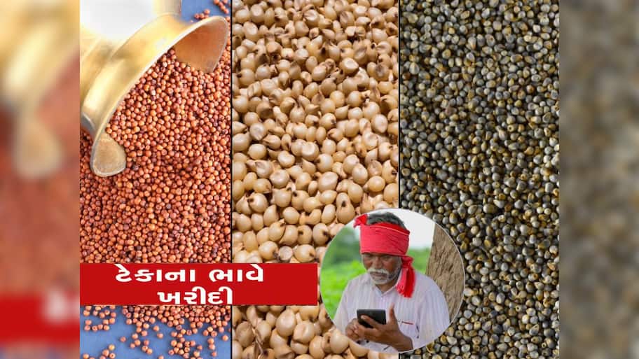 સરકાર એકસાથે 5 ધાન્યોની ટેકાના ભાવે ખરીદી કરશે, ભાવનું લિસ્ટ પણ જાહેર કર્યું 