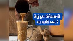 Chai: ચા માં કયા સમયે અને કેવું દૂધ નાખવાથી ચા દર વખતે એકસરખી અને ટેસ્ટી બને ?