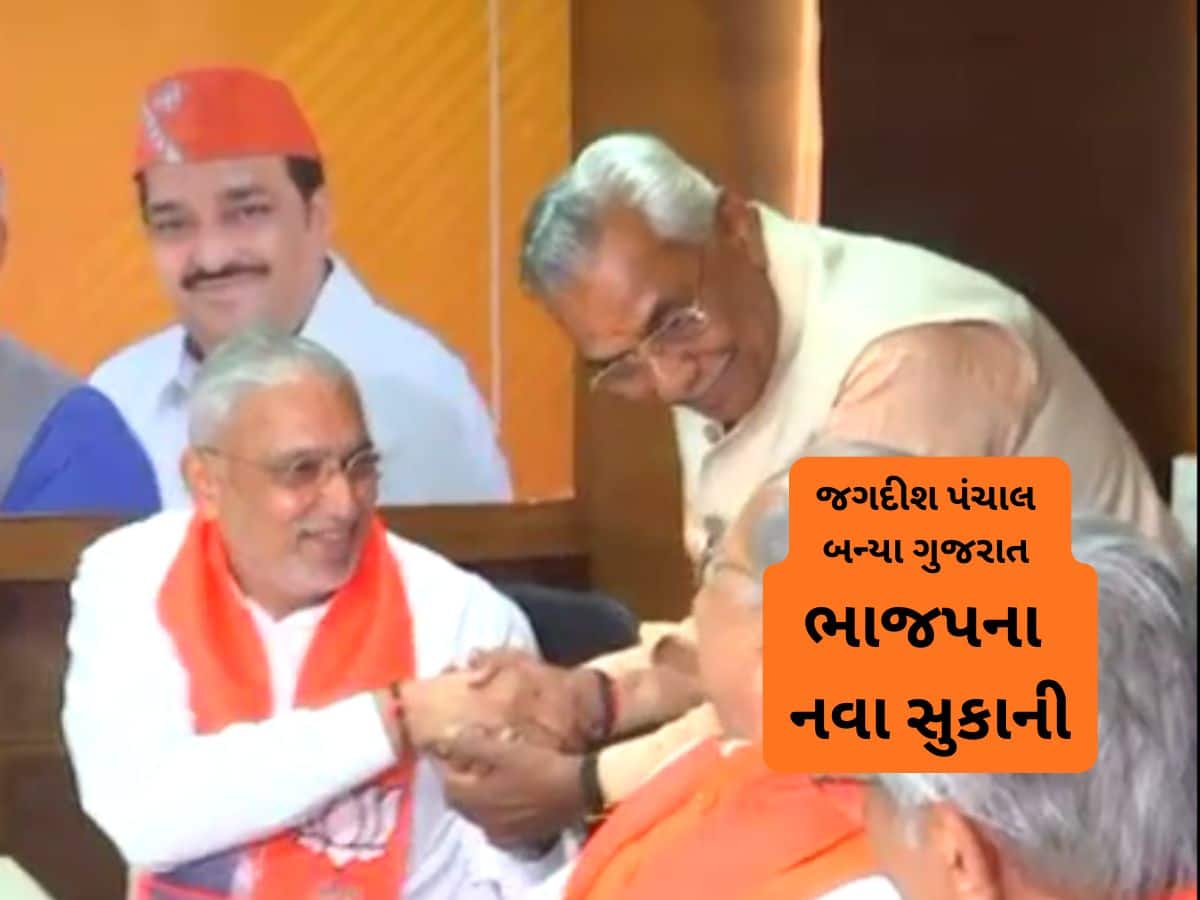 ગુજરાત ભાજપને મળ્યા નવા આગેવાન : જગદીશ વિશ્વકર્માએ વિજય મુહૂર્તમાં ફોર્મ  ભર્યું