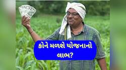 ગુજરાત સરકારનો મહત્વનો નિર્ણય : એશિયાઈ સિંહ અને ખેડૂતોના કામની યોજનાની સહાયમાં કરાયો