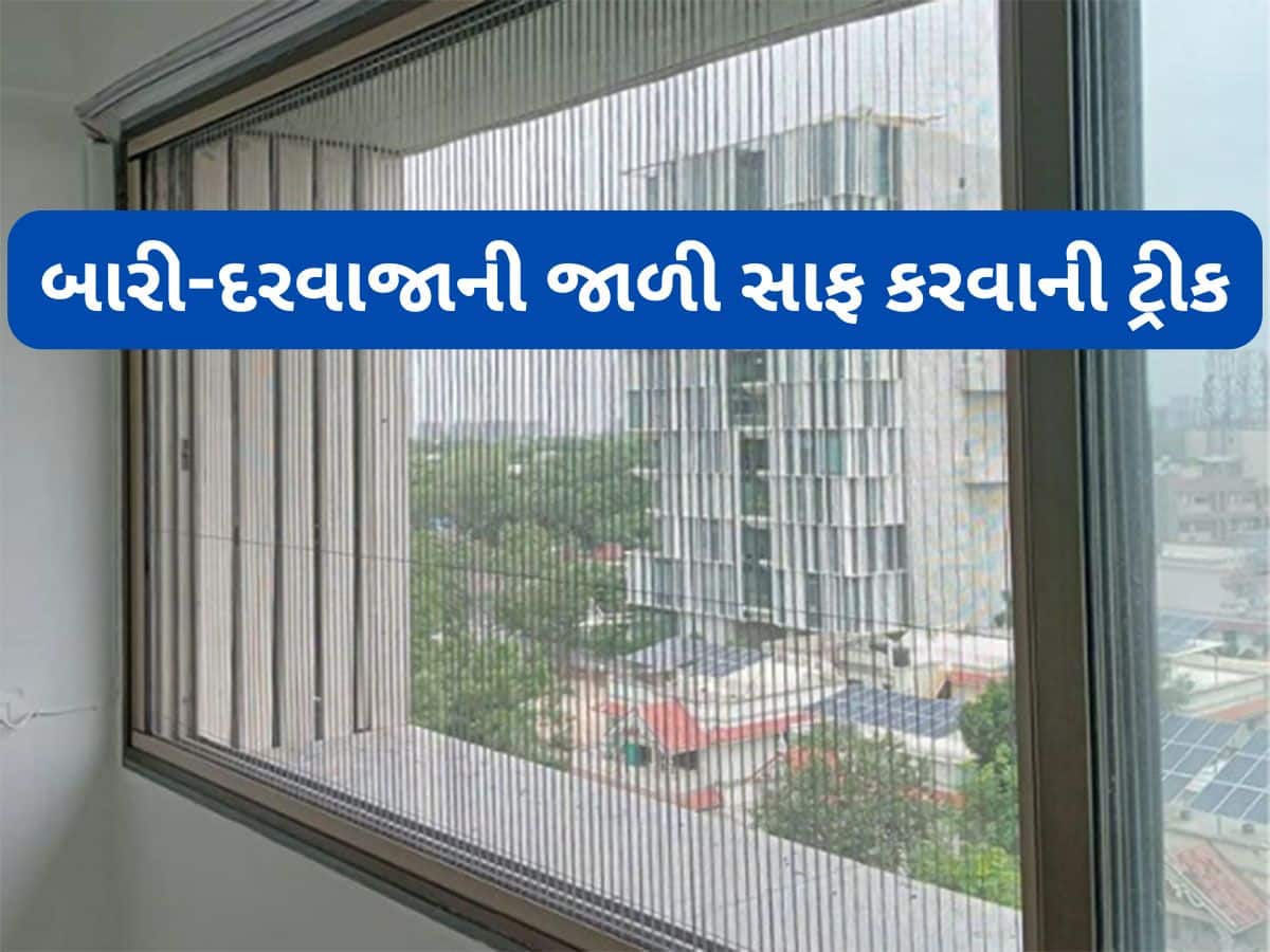 Cleaning Tips for window mosquito nets | How to clean latticed windows ...