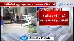 આમ તેમ ફરતી ગાયોને અંધારામાં કેવી રીતે ચોરી જાય છે...Videoમાં કેદ થઈ હરકત