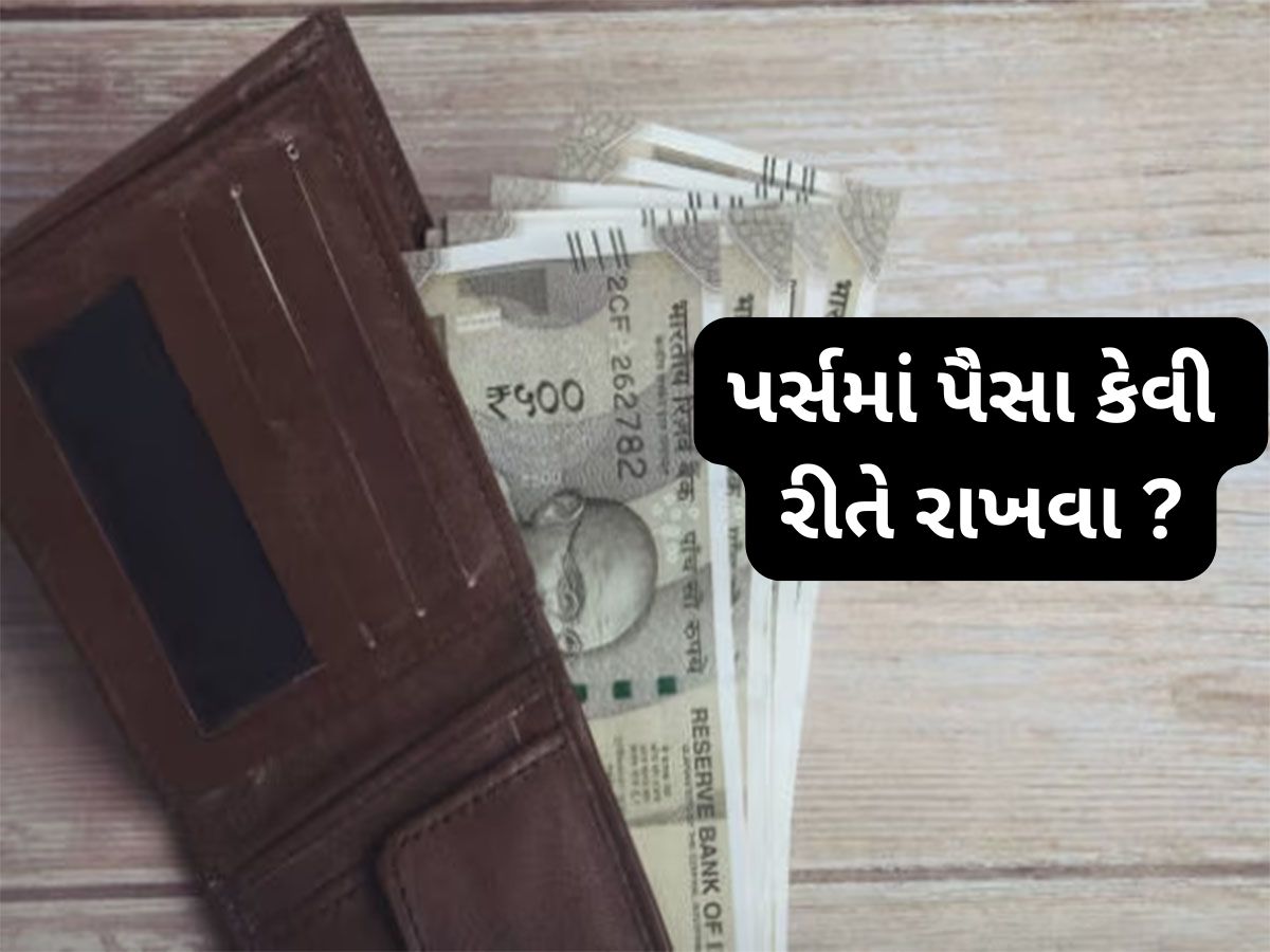 Vastu Tips: પર્સમાં પૈસા આ રીતે ગોઠવીને રાખો, ચુંબકની જેમ આકર્ષિત થશે વધુને વધુ ધન