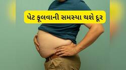 Healthy Diet: ભોજન કર્યા બાદ ફૂલવા લાગે છે પેટ, તો ડાયટમાં સામેલ કરો આ ફૂડ્સ