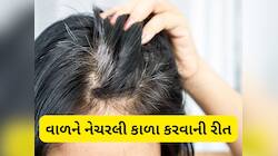 White Hair: નાની ઉંમરે સફેદ થતા વાળને મૂળમાંથી કાળા કરવાની 3 અસરદાર રીત