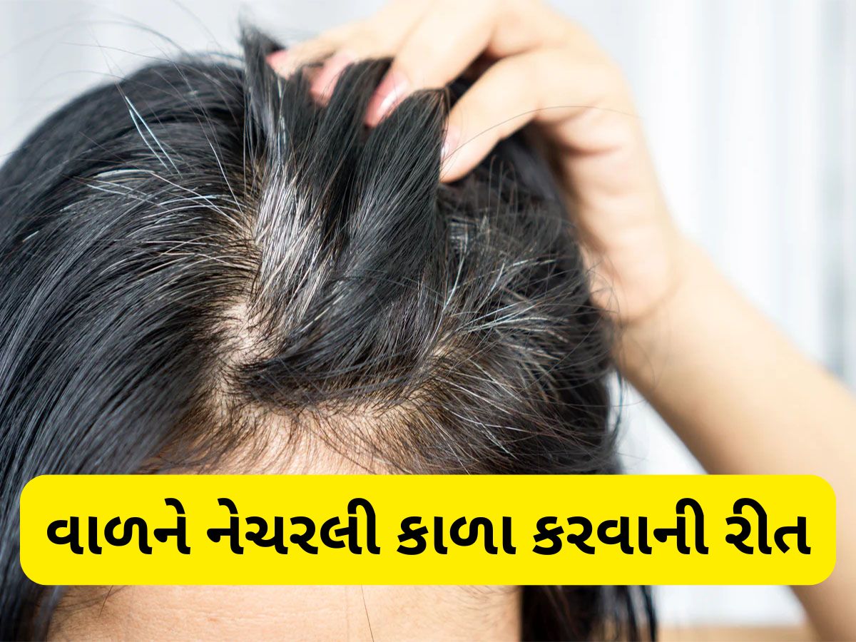 White Hair: નાની ઉંમરે સફેદ થતા વાળને મૂળમાંથી કાળા કરવાની 3 અસરદાર રીત White Hair: નાની ઉંમરે સફેદ થતા વાળને મૂળમાંથી કાળા કરવાની 3 અસરદાર રીત