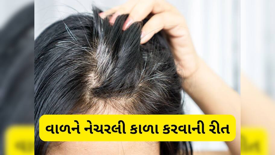 White Hair: નાની ઉંમરે સફેદ થતા વાળને મૂળમાંથી કાળા કરવાની 3 અસરદાર રીત