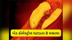ઘરના રસોડામાં રહેલા આ 8 મસાલા ખરાબ કોલેસ્ટ્રોલને કંટ્રોલ કરવામાં કરે છે મદદ