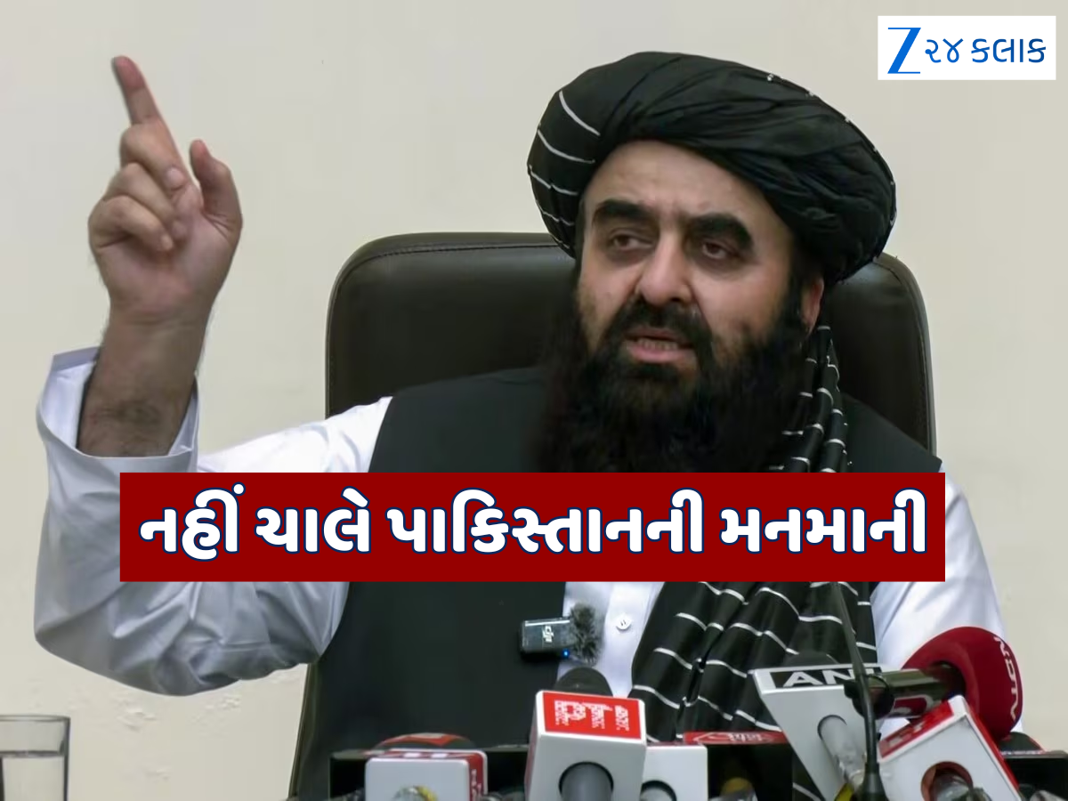 અફઘાનિસ્તાનના વિદેશ મંત્રીએ આપી પાકિસ્તાનને ચેતવણી, દિલ્હીની ધરતી પરથી અમેરિકાનો આપ્યો સ્પષ્ટ સંદેશ