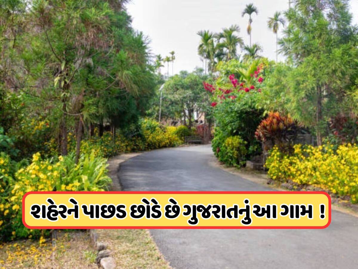 ભારતના 5 સૌથી સ્વચ્છ ગામોમાં એક ગુજરાતના ગામનો પણ થાય છે સમાવેશ, જાણો આ મોર્ડન વિલેજ વિશે